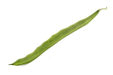 wspólne mieszkanie pod fasoli.