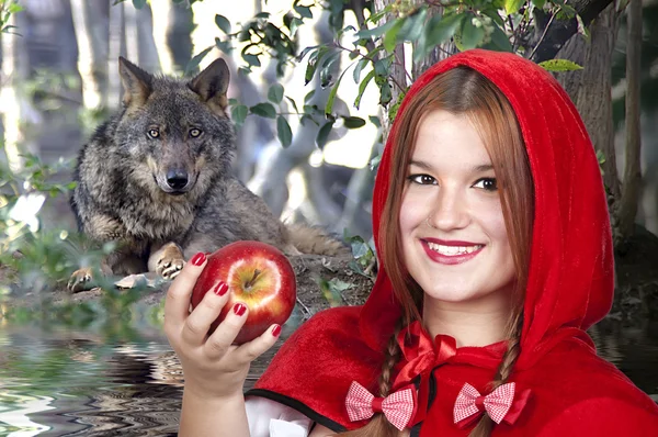 Chapeuzinho vermelho e o grande lobo mau — Fotografia de Stock