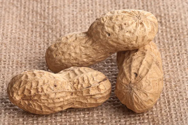 Peanuts in shell — Stock Photo, Image