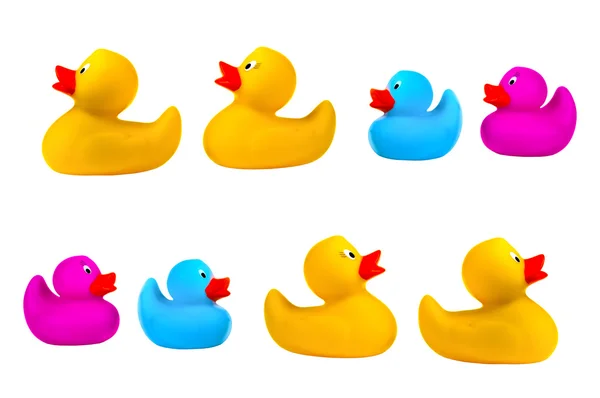 Classic yellow rubber ducks — Stock Photo, Image