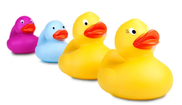 Rubber ducks selective focus — Stock Photo, Image