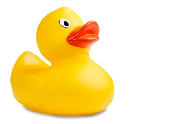 Image of a cute rubber duckling — Stock Photo, Image