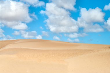 fuerteventura altın çöl