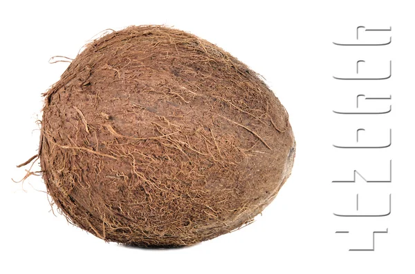 Primer plano de un coco — Foto de Stock