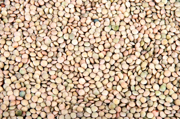 Pequenas lentilhas secas marrons — Fotografia de Stock