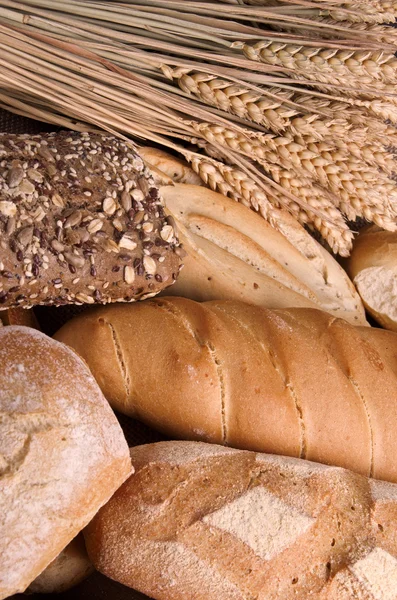 Farklı ekmekler — Stok fotoğraf