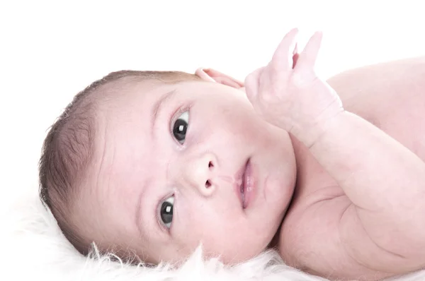 Newborn girl — Stock Photo, Image