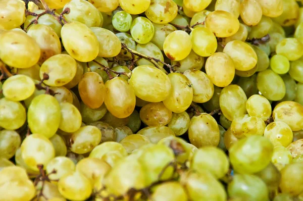Green grapes in a store — Stock Photo, Image