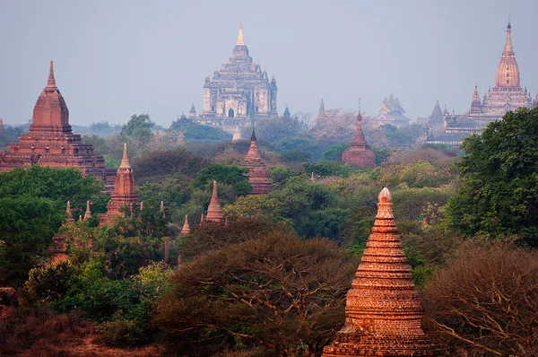 Bagan temples — Stock Photo, Image