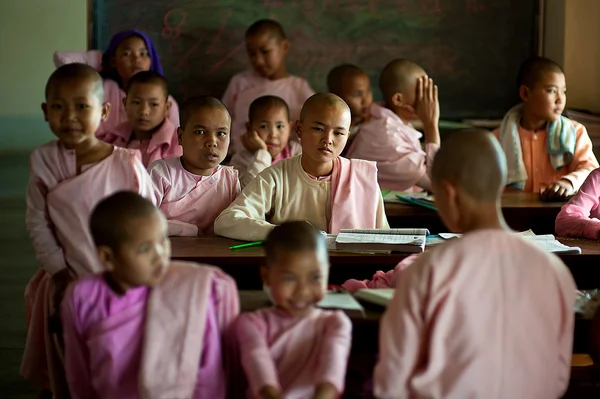 monkettes hsipaw Manastırı Myanmar