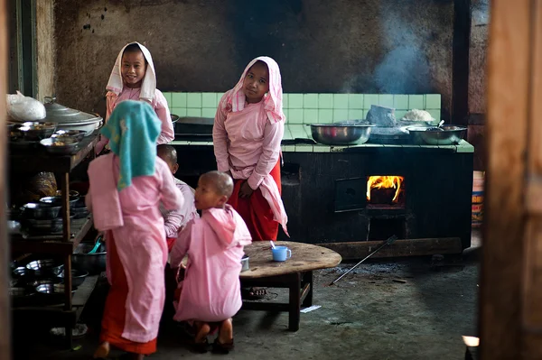 Monkettes v hsipaw klášteře Myanmaru — Stock fotografie