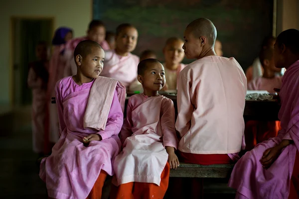 Monketter i klosteret Hsipaw Myanmar – stockfoto