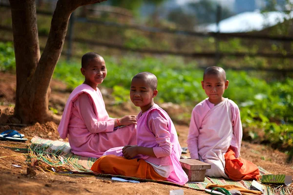 Hsipaw 수도원 미얀마에 있는 monkettes — 스톡 사진