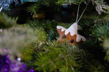 Şirin bir Noel ağacı süsü bir ladin dalına asılmış. Yeşil kozalaklı ağacın bir parçası. Yeni Yıl.