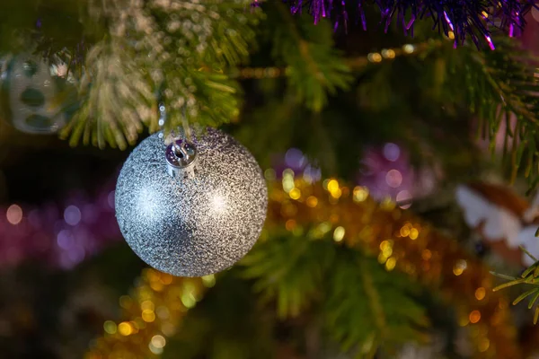 Uma bola de Natal, um ouropel, brilhos pendurados num ramo de abeto. Parte da árvore conífera verde close-up. — Fotografia de Stock