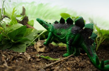 Orman stegosaurus