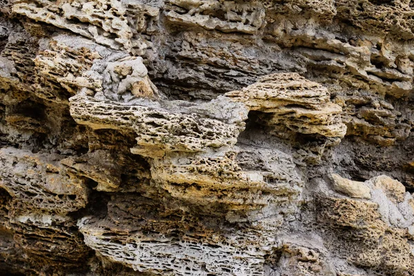 Close Zdjęcie Tekstury Górskiego Kamienia Koralowego — Zdjęcie stockowe