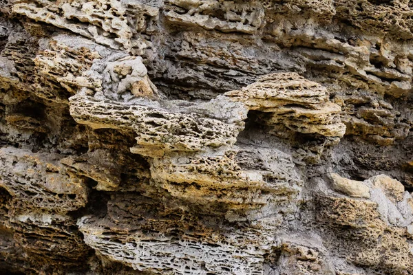 Dağ Mercan Taşının Yakın Çekim Fotoğraf Dokusu — Stok fotoğraf