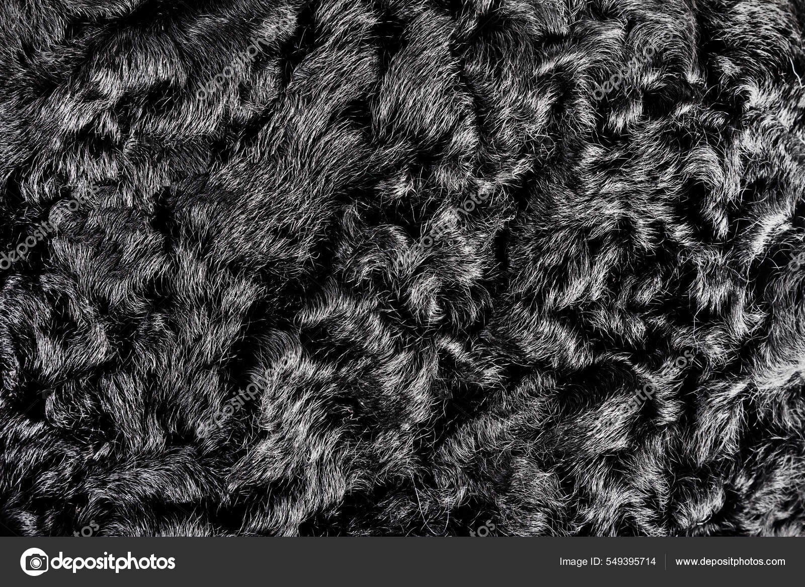 Astrakhan fur texture Stock Photos, Royalty Free Astrakhan fur texture Images | Depositphotos Astrakhan fur texture Stock Photos, Royalty Free Astrakhan fur texture Images | Depositphotos