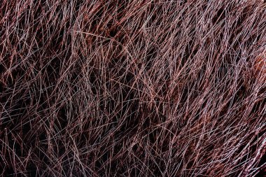 Arkaplanda kahverengi renkli hayvan kürkü ve saç malzemesinin yakın plan fotoğraf dokusu.