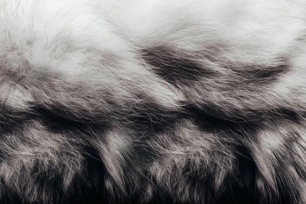 Hintergrund Nahaufnahme Foto Textur Aus Grau Gefärbten Und Schattierten Tierfell — Stockfoto