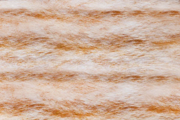 Achtergrond Close Foto Textuur Van Rood Bruin Gekleurde Kat Dierlijke — Stockfoto