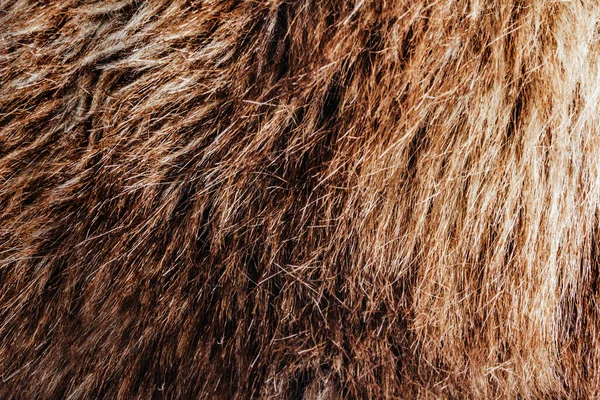 Kahverengi Renkli Hayvan Kürkü Malzemesinin Yakın Plan Fotoğraf Dokusu — Stok fotoğraf