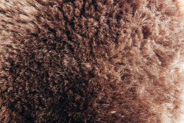 Backdrop Close Photo Texture Brown Colored Animal Fur Material — Stock Photo, Image