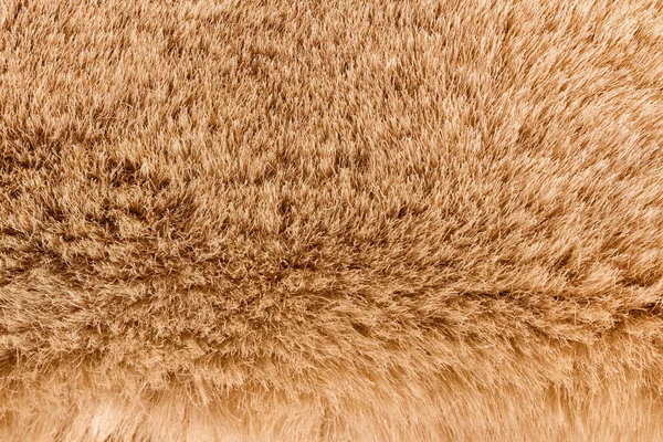 背景には 茶色の動物性毛皮素材のクローズアップ写真の質感 — ストック写真
