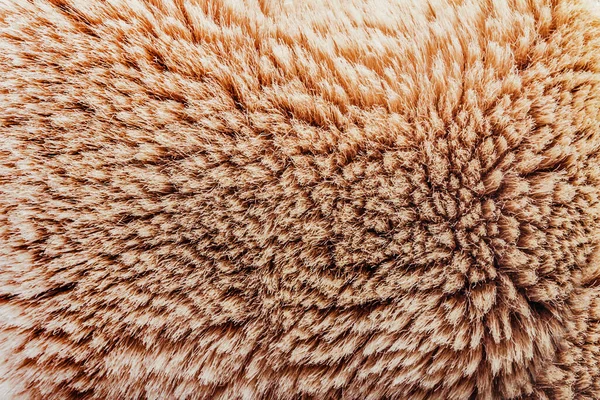 棕色动物毛皮材料的背景特写照片纹理 — 图库照片