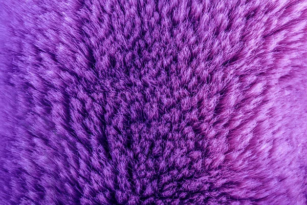 Fondo Primer Plano Foto Textura Color Púrpura Material Piel Animal — Foto de Stock