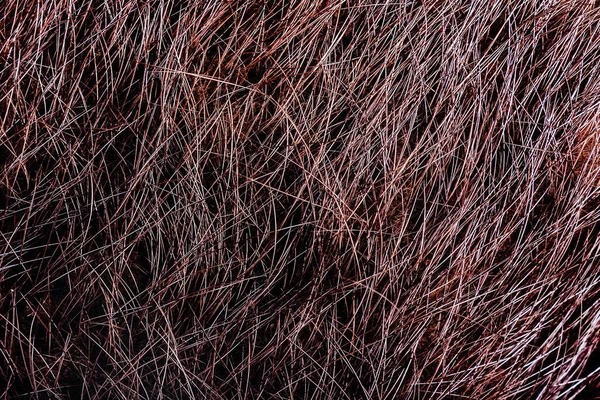 棕色动物毛皮和发质的背景特写照片质感 — 图库照片