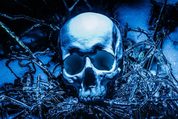 Horror Aterrador Foto Cráneo Humano Tendido Sobre Hielo Congelado Superficie — Foto de Stock