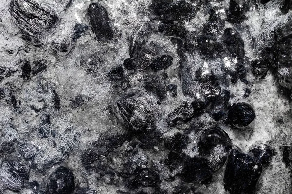 Close Foto Carvão Madeira Queimado Congelado Coberto Gelo Fundo Textura — Fotografia de Stock