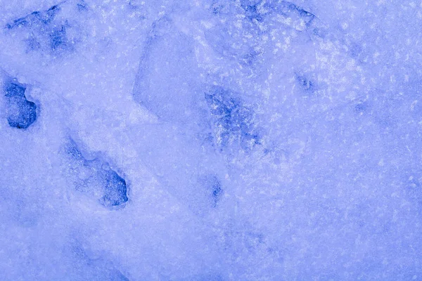 Photo Blue Toned Frozen Cracked Ice Ground Texture — Stock Photo, Image