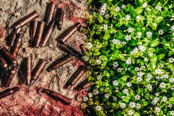Foto Des Blutigen Schlachtfeldes Mit Kugelgranaten Und Blühender Blumenwiese Konzept — Stockfoto