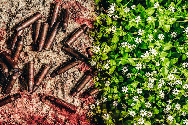 Photo Combined War Bloody Battleground Bullet Shells Flourishing Flower Meadow Stock Photo