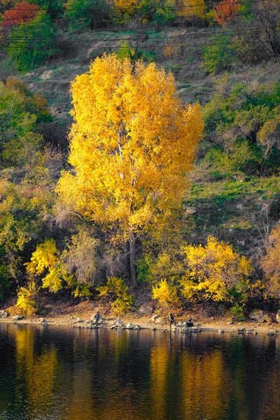 Nehirdeki muhteşem sonbahar manzarası. Suyun üzerinde yansıması olan sonbahar sarısı ve yeşil ağaçların rengarenk sabah manzarası. Doğanın güzelliği — Stok fotoğraf