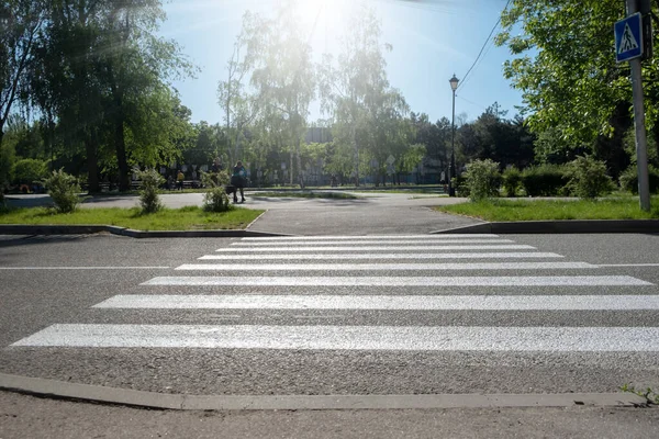 Пешеходный переход для пешеходов, переходящих улицу. Пустой пешеходный переход в парк на дороге. — стоковое фото