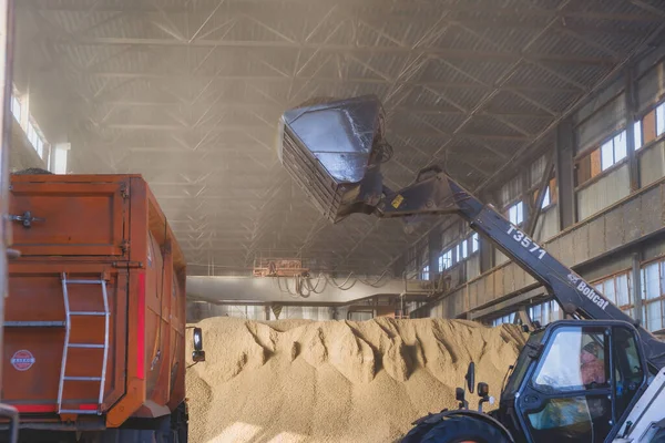 Verladen Von Getreide Aus Der Lagerung Einen Getreidewagen Weizenkorn Beladen Stockbild