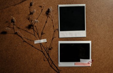 Kahverengi arka planda iki boş kart ve kuru çiçekler. Resim indir