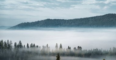 Sisli ormandaki dağların panoramik görüntüsü. Ufuk çizgisinde. Yüksek kalite fotoğraf