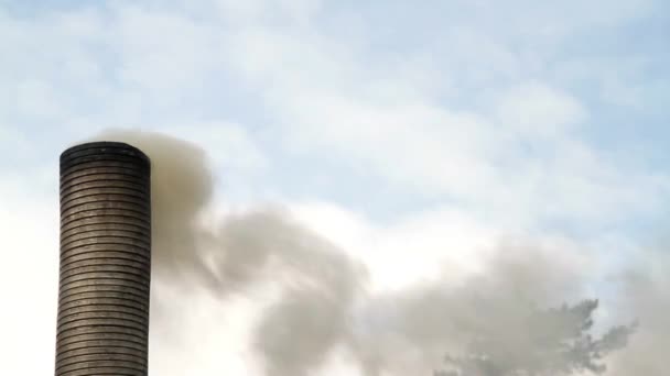 Kohleteerrauch Aus Kleinem Schornstein Bei Modell Dampfzugmaschine — Stockvideo