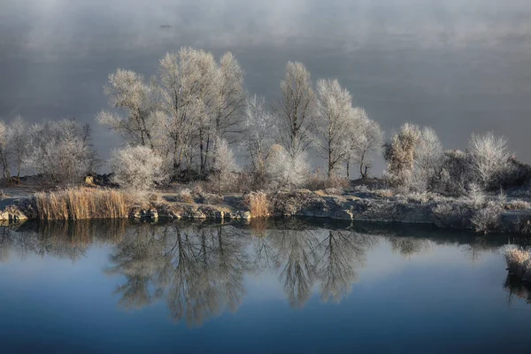 Зимний Пейзаж Деревьями Озером — стоковое фото