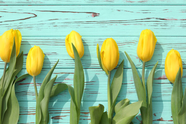 желтые тюльпаны на синем деревянном фоне. место для текста