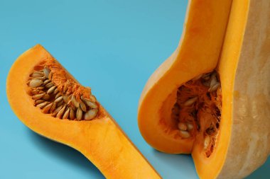 mavi zemin üzerine kabak