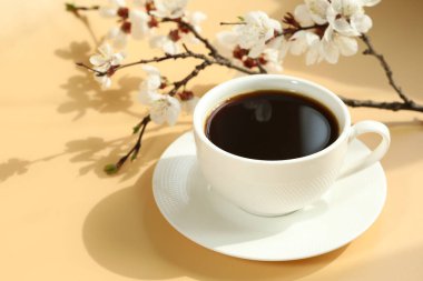 Kayısı çiçeği dallı bir fincan kahve ve kopyalama alanı.