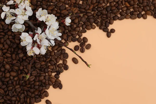 Creative Background Coffee Beans Copy Space — Stock Photo, Image