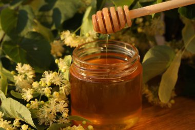 ıhlamur çiçekli ıhlamur balı kavanoz