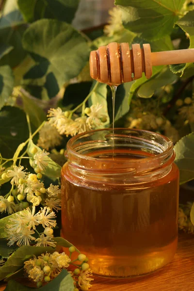 jar of linden honey with linden blossom